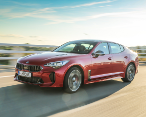 Kia Stinger Red Dynamic  (30)
